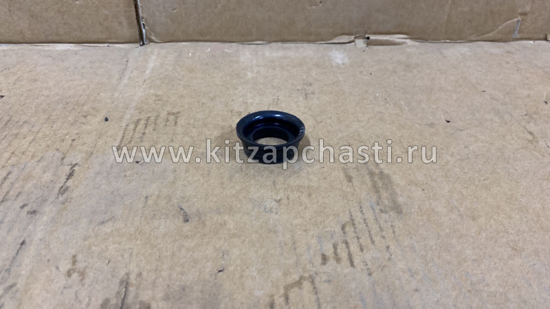 Сальник свечного колодца Great Wall Hover H5 SMD198128